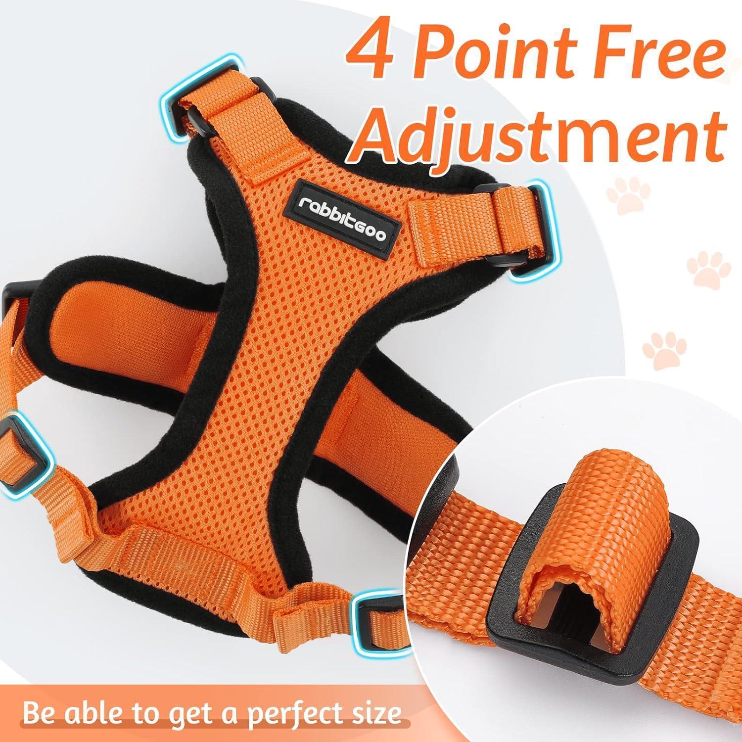 Rabbitgoo Adjustable Cat Harness and Leash Set