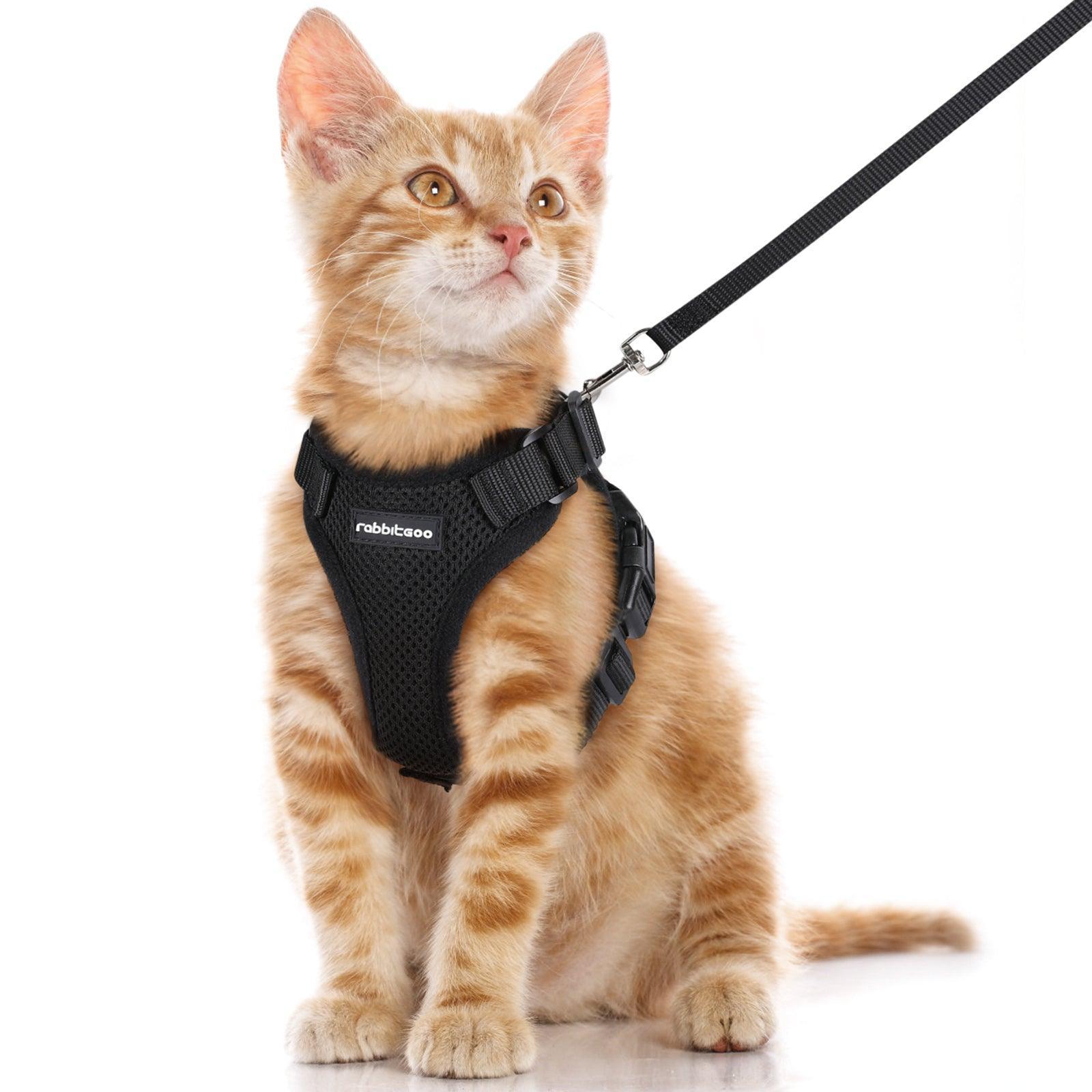 Rabbitgoo Adjustable Cat Harness and Leash Set