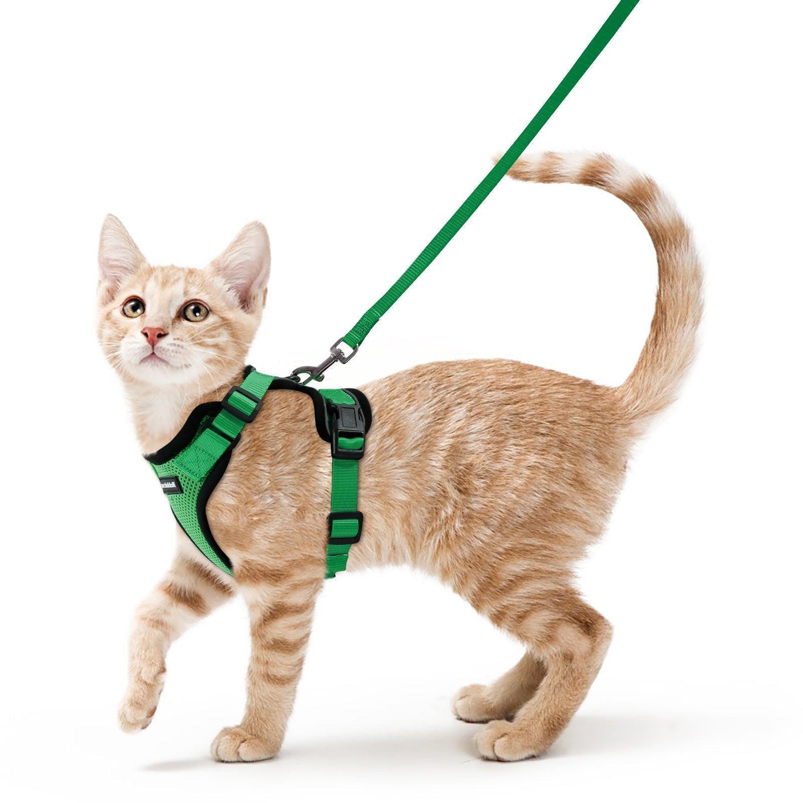 Rabbitgoo Adjustable Cat Harness and Leash Set