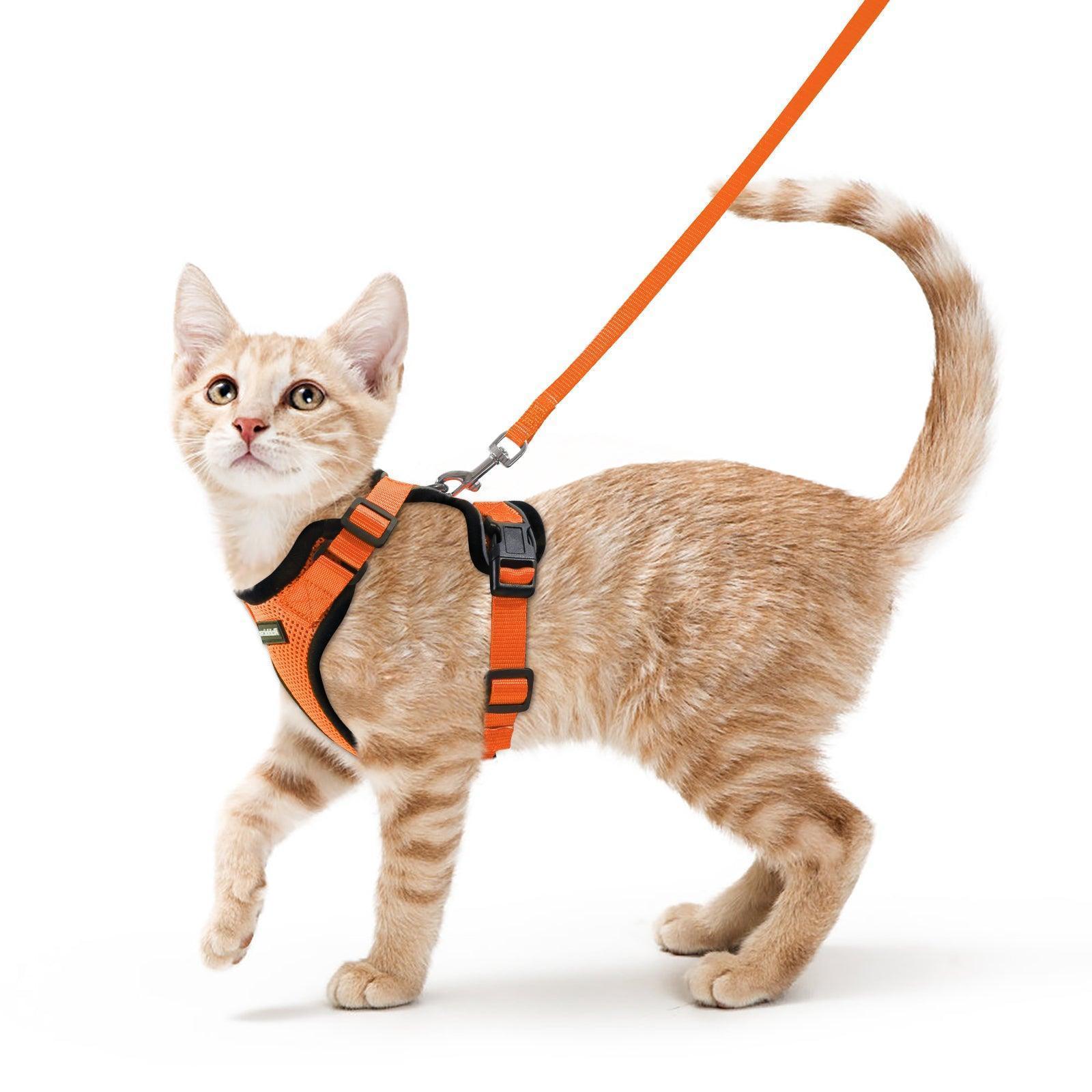Rabbitgoo Adjustable Cat Harness and Leash Set